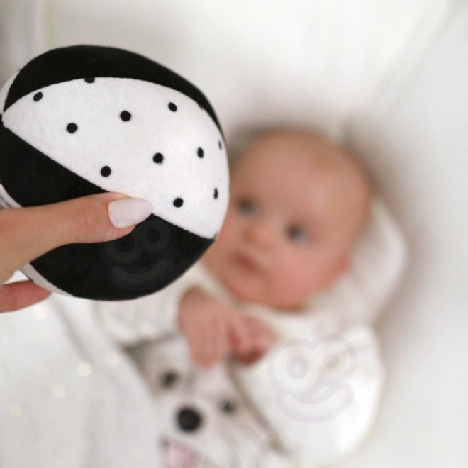 Montessori XXL izobraževalna škatla 7v1 TOOKY TOY