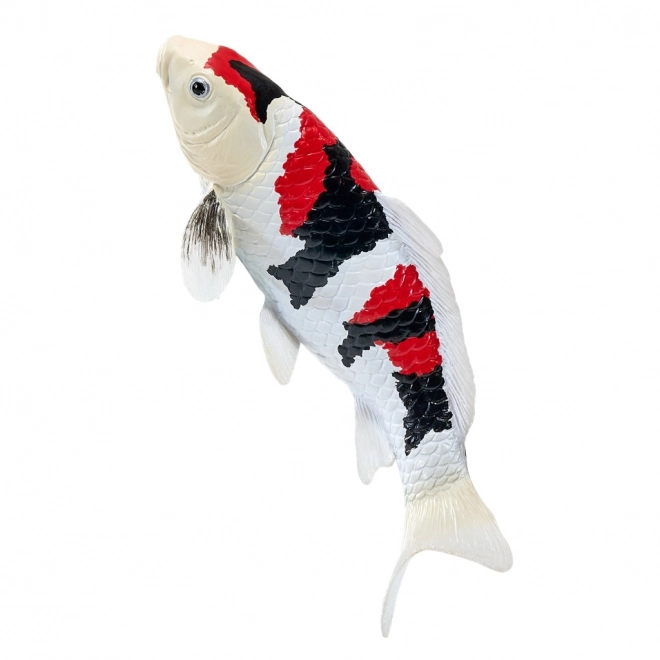 Mojo krap koi showa sanshoku