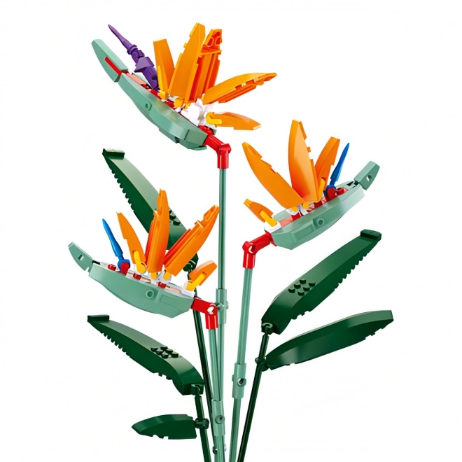 Sluban Flowers Kraljeva strelicija