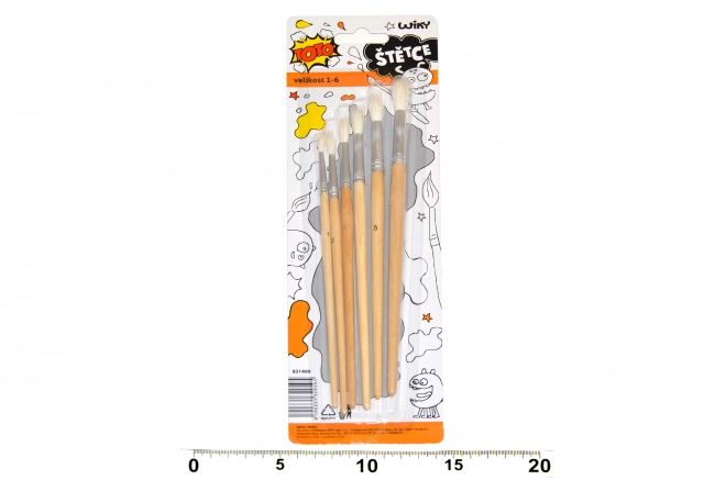 Set čopičev 1-6