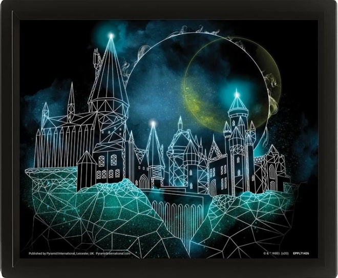 3D slika HARRY POTTER – Bradavičarka