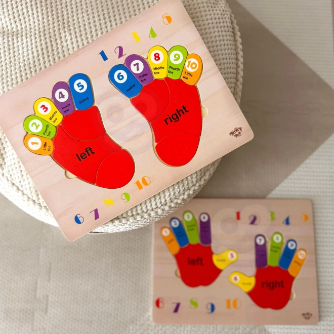 Lesena izobraževalna sestavljanka TOOKY TOY - Učenje številk in barv
