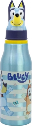 Aluminijasta steklenička za pijačo BLUEY 690 ml