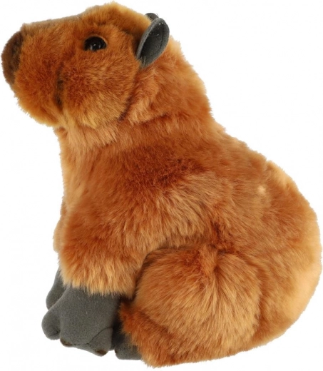 Varna izbira od rojstva