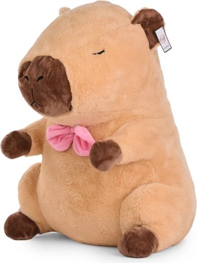 Stilna pentlja in naravne barve