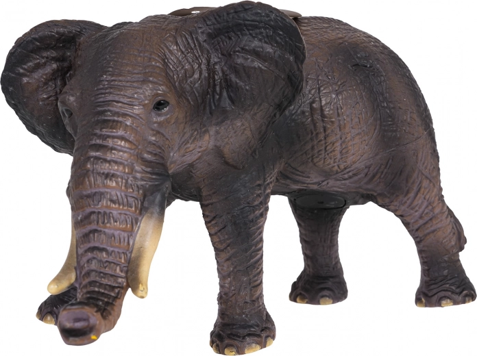 Realistični detajli in robustna izdelava