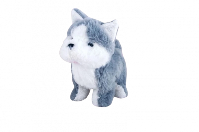 Husky na baterije
