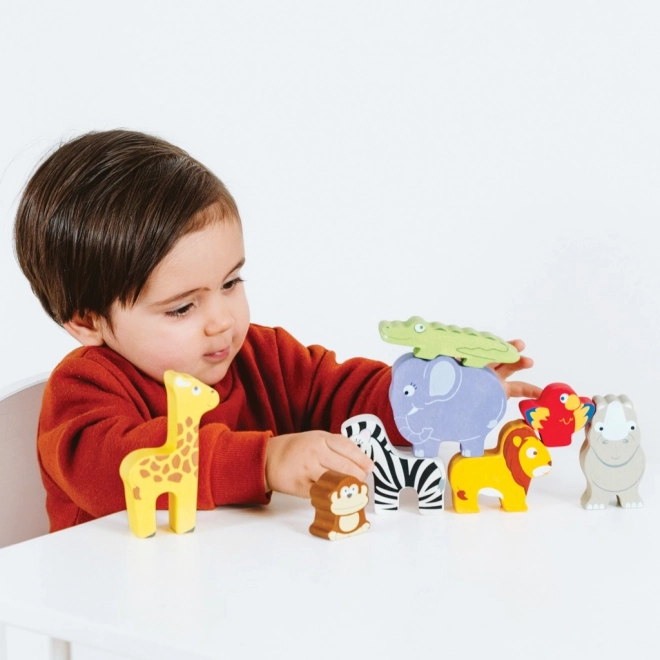 Le Toy Van Petilou Zložljivi stolp Afrika 9 kos