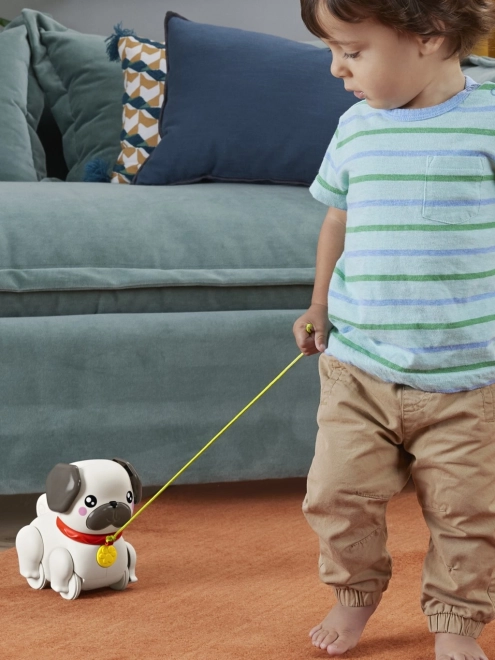 Fisher Price Sprehajalec mops HTW94
