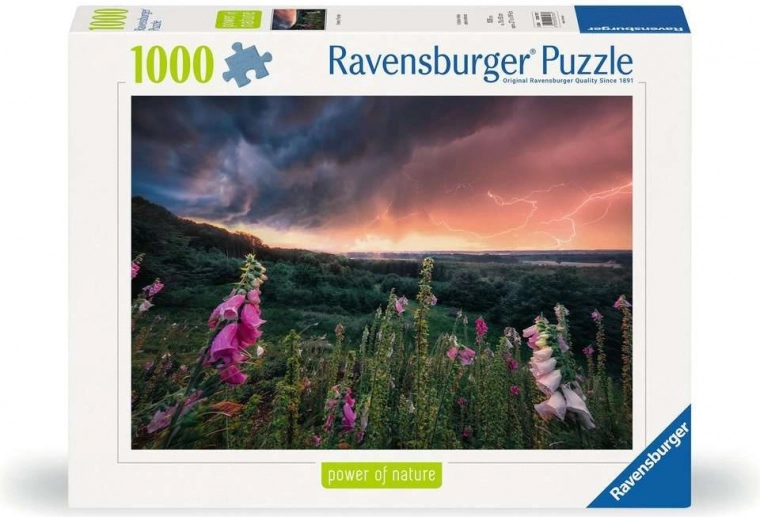 Kakovost RAVENSBURGER od leta 1891