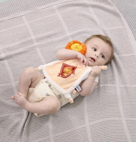 Mavrični Harry Potter Plišasti objemček Gryffindor