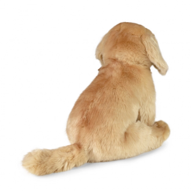 Plišasti labrador sedeč 27 cm EKO-PRIJAZEN