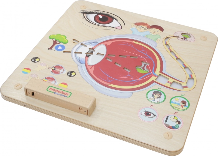 Masterkidz Montessori Izobraževalna Tabla – Vid