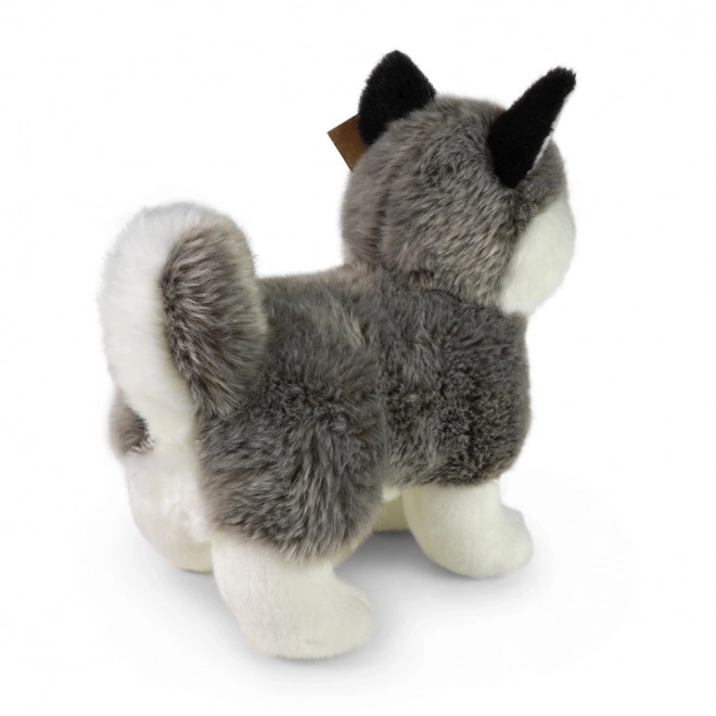 Plišasti pes husky stoječi 23 cm EKOLOŠKI