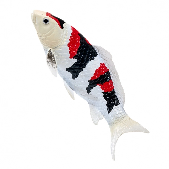 Mojo krap koi showa sanshoku
