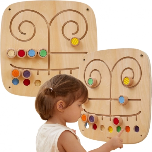 Razvoj čutov in spoznavanja