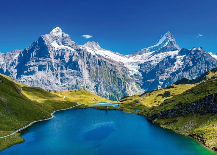 ALIPSON sestavljanka Jezero Bachalpsee, Alpe – 1000 koščkov