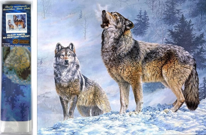 Diamantno slikanje Volčji klic 30x40cm