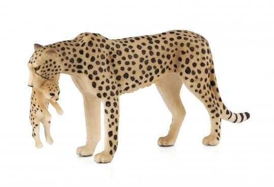 Mojo Gepard z mladičem