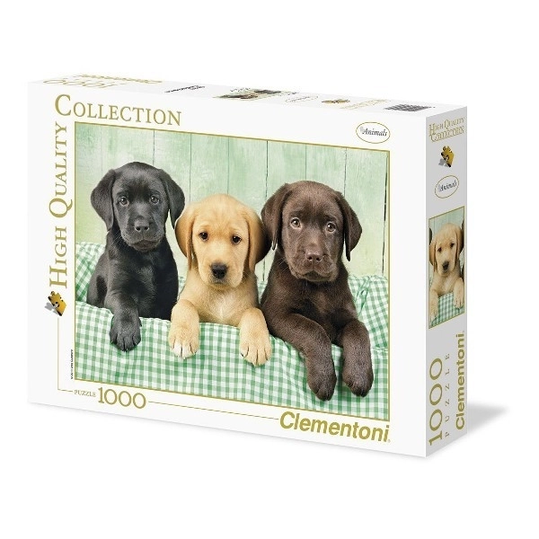 Puzzel 1000 delcev Trije Labradoodli