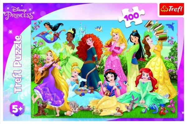 Uganka Čudovite princese/Disney 100 kosov 41x27,5 cm v škatli 29x19x4 cm