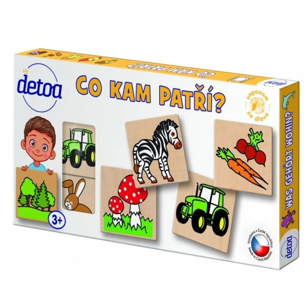 Didaktična igra - Kam kaj sodi? 36 delov