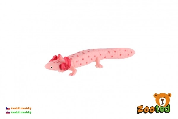 Mehiški aksolotl zient del 8cm v vrečki