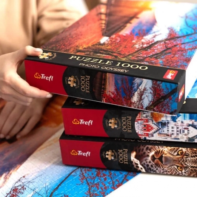 TREFL Puzzle Premium Plus Foto Odiseja: Grad Neuschwanstein 1000 kosov