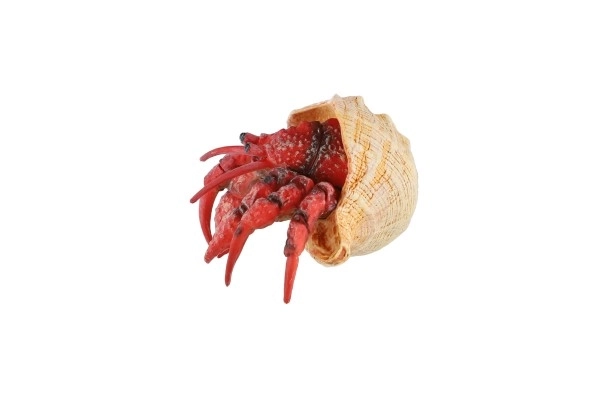 Plastični puščavski rak 7cm v vrečki