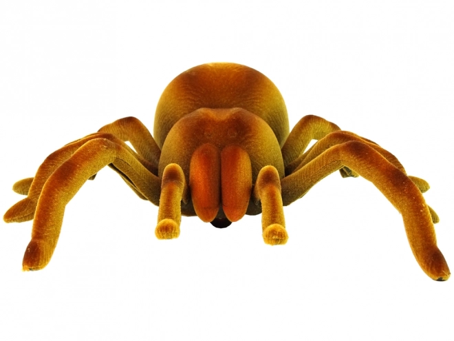 Daljinsko upravljan tarantula Infrared Brown R/C