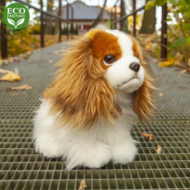 Plišasti pes King Charles španjel 25 cm