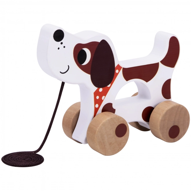 Montessori senzorična škatla XXL 6v1 od Tooky Toy