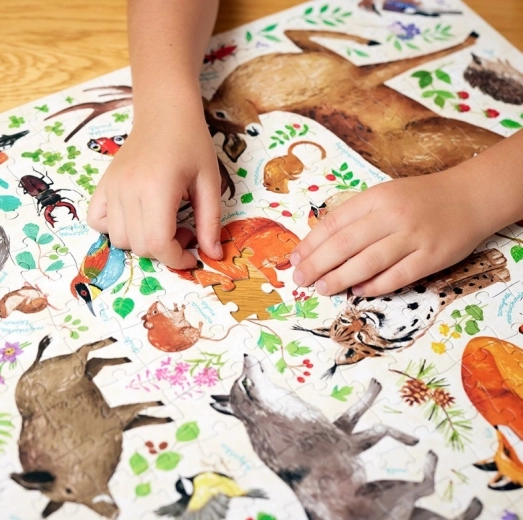 Velika, podrobna ilustracija, polna živali