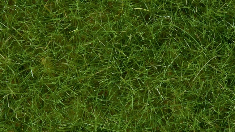Statična trava divja svetlo zelena 6 mm Noch