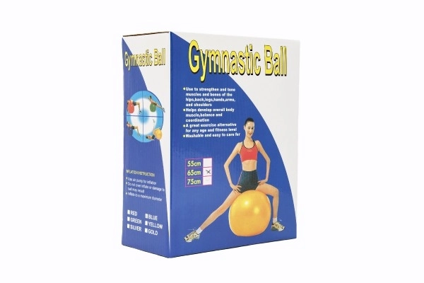 Gimnastična žoga 65cm rehabilitacijska sprostitvena v škatli 16x22cm
