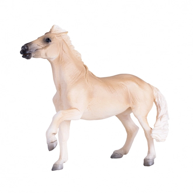 Mojo Konj Brumby Mare