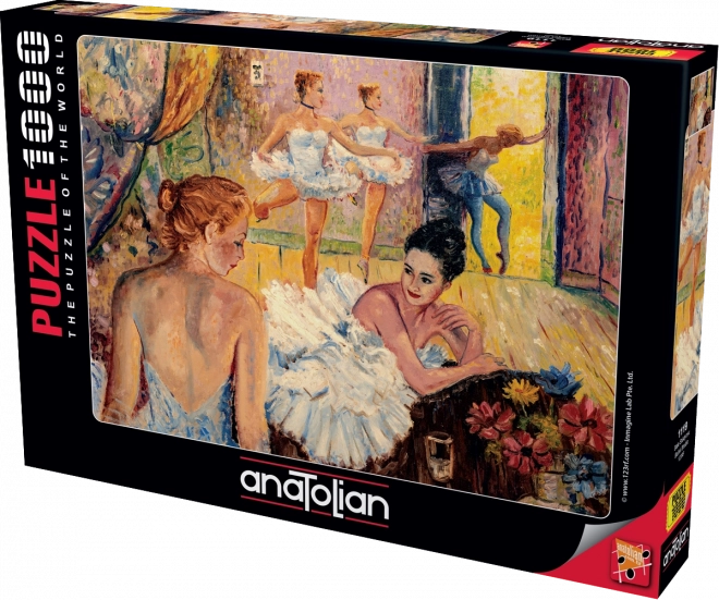 Puzzle Baletno studio 1000 kosov