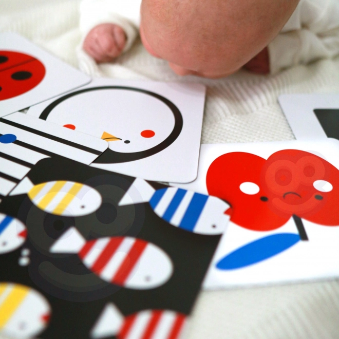 Montessori XXL izobraževalna škatla 7v1 TOOKY TOY
