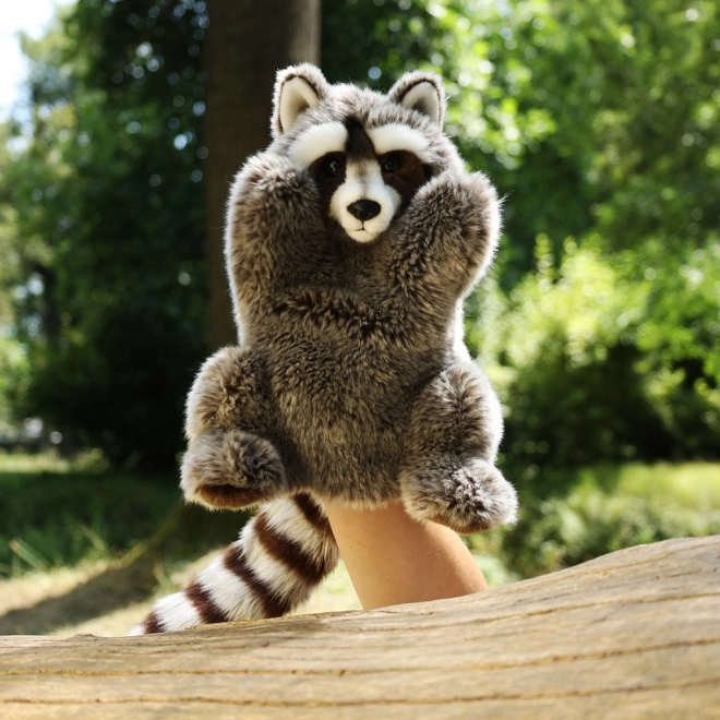 Plišasta ročna lutka rakun 28 cm ECO-FRIENDLY