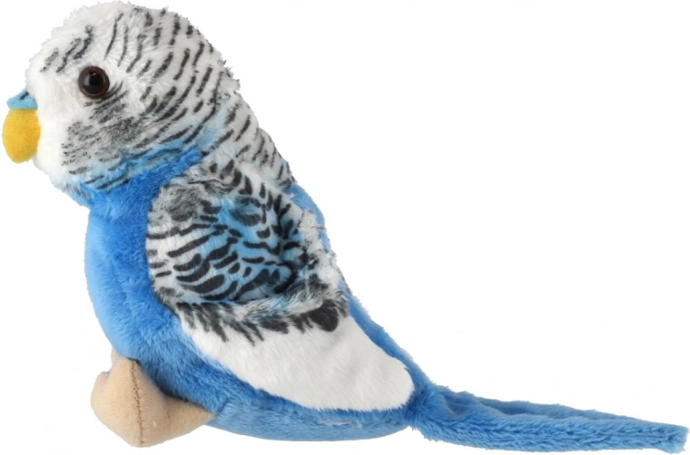 Realistične podrobnosti perja in videza