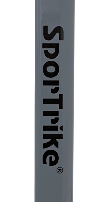 Kolobri Tricikel – Srebrna