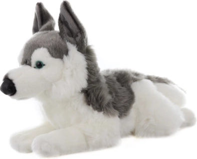 Plišasti husky 43 cm
