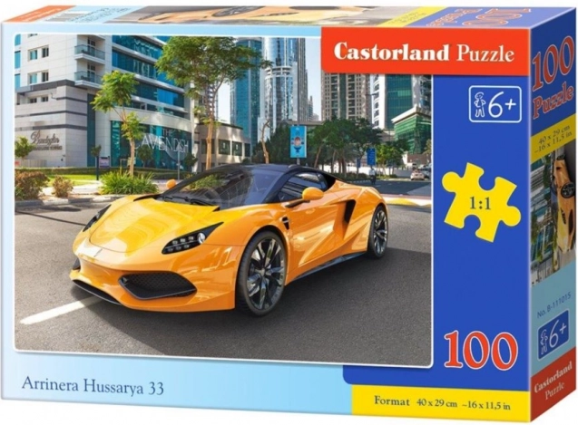 Sestavljanka 100 koščkov Arrinera Hussarya