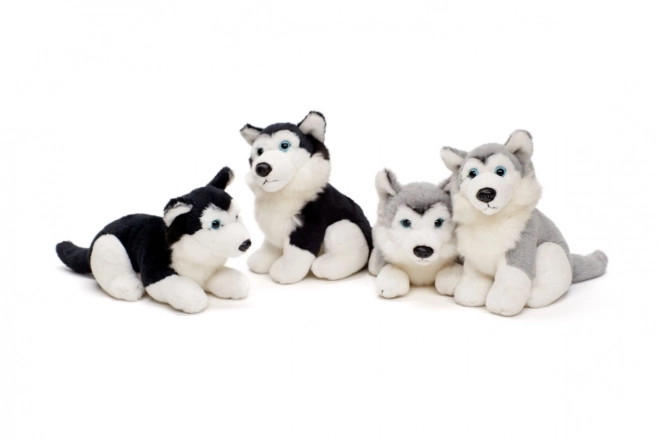 Plišasti husky 15 cm