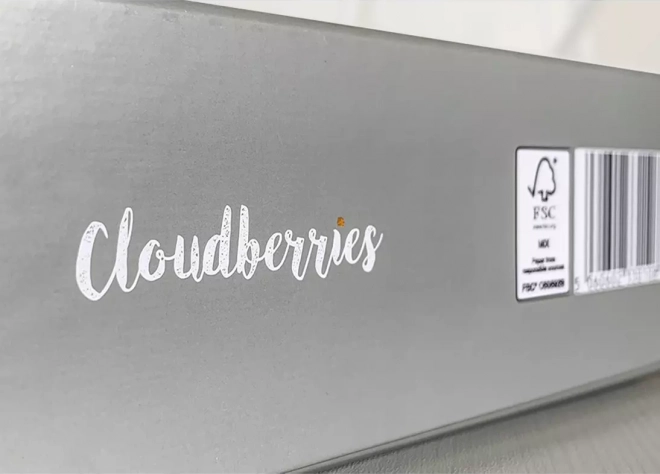 Sestavljanka 1000 kosov Školjke od Cloudberries