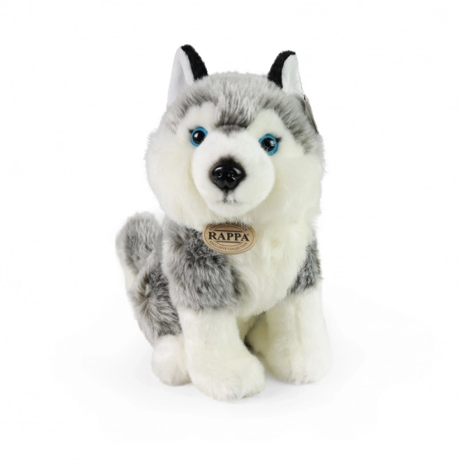 Plišasti husky 30 cm okolju prijazen