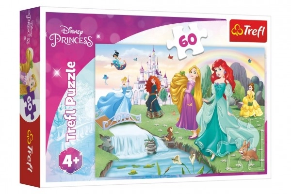 Sestavljanka Spoznajte princese 33x22cm 60 kosov v škatli 21x14x4cm
