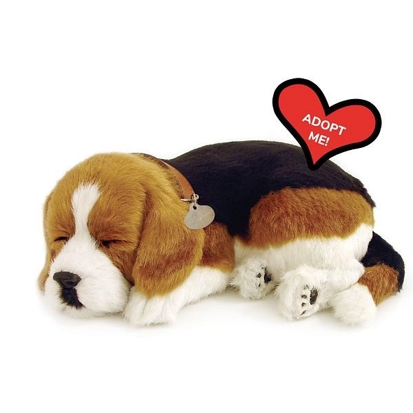 Dihajoči mladiček Beagle Perfect Petzzz