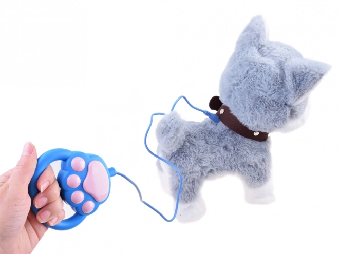 Interaktivni Husky pes na povodcu