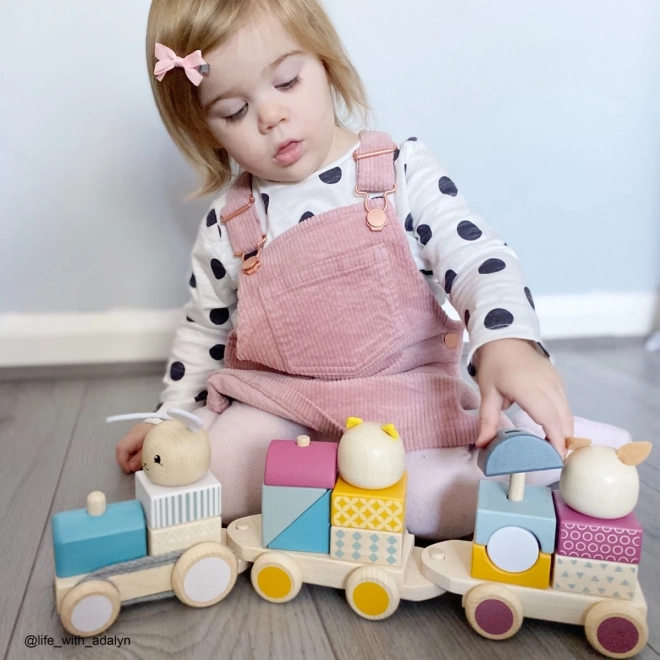 Bigjigs Baby Lesen vlakec z živalcami